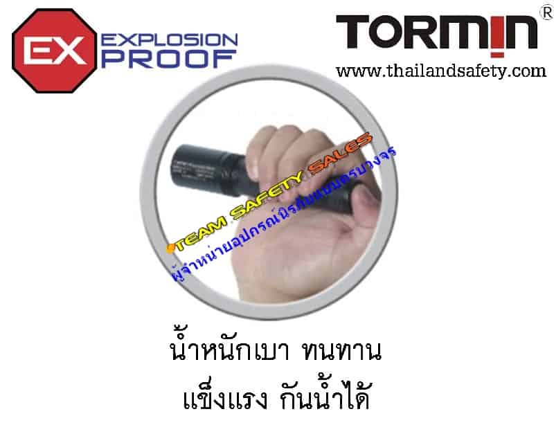 https://www.supersafetythailand.com/wp-content/uploads/2017/05/BW7300-1.jpg