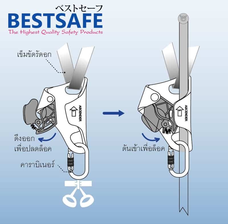 https://www.supersafetythailand.com/wp-content/uploads/2017/06/Ascenders-catalog-05.jpg