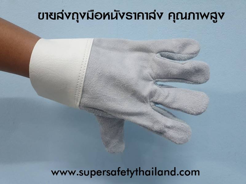 https://www.supersafetythailand.com/wp-content/uploads/2019/04/%E0%B8%96%E0%B8%B8%E0%B8%87%E0%B8%A1%E0%B8%B7%E0%B8%AD%E0%B8%AB%E0%B8%99%E0%B8%B1%E0%B8%87.jpg